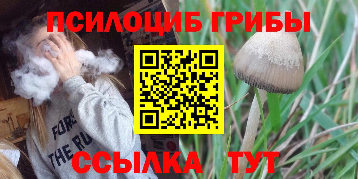Псилоцибиновые грибы мухоморы Балтийск