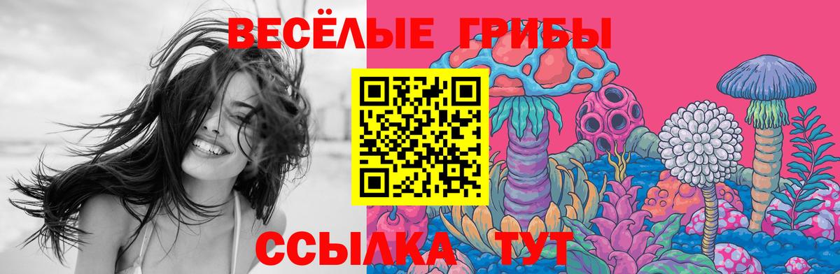 Галлюциногенные грибы мухоморы  Вход с VPN  где найти   Балтийск 